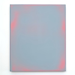 Veil2019_17